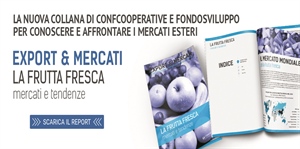 EXPORT & MERCATI: LA FRUTTA FRESCA, MERCATI E TENDENZE